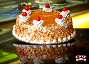 Manufacturers Exporters and Wholesale Suppliers of Butter Scotch Cake Chennai Tamil Nadu
